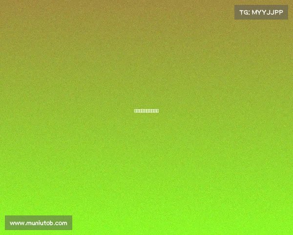 韩国与瑞典队比赛结果